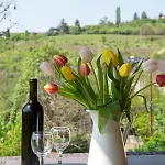 Tulipan Apartment