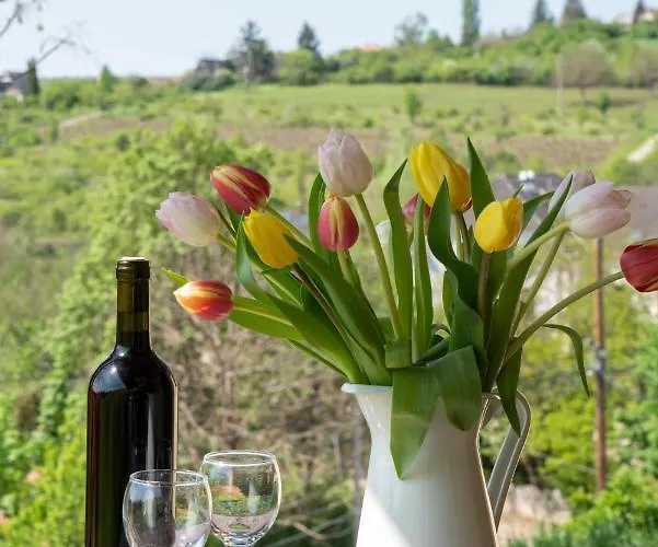 Tulipan Апартаменты