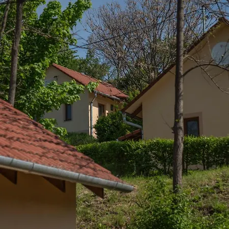Apartment Tulipan