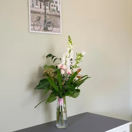 Apartment Tulipan *