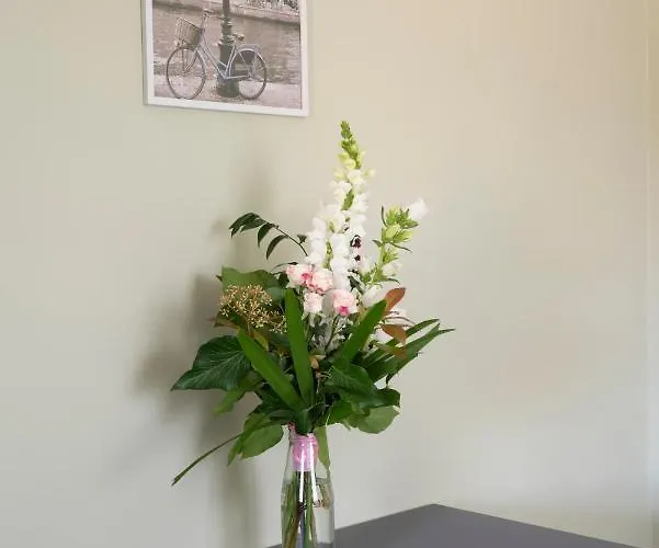 Apartment Tulipan *